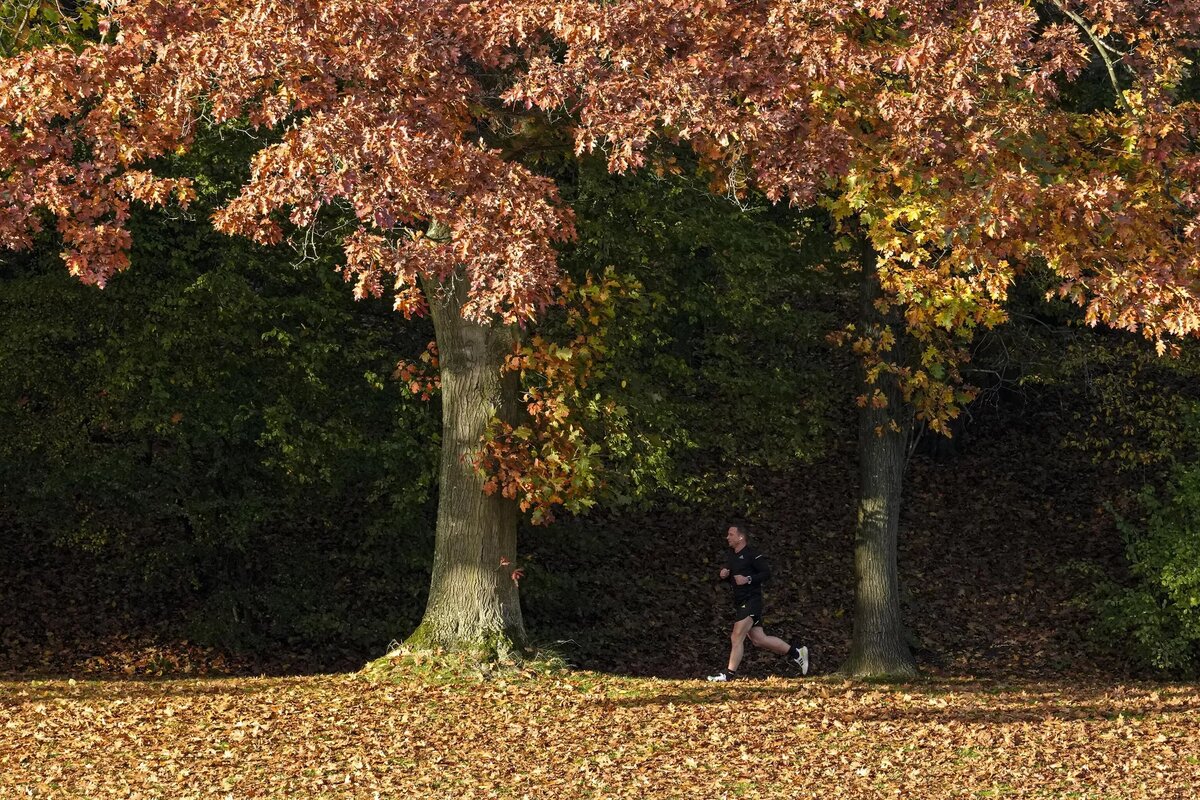 Мужчина бежит под полуденным солнцем среди красных осенних листьев в парке в Гельзенкирхене, Германия © AP Photo / Martin Meissner