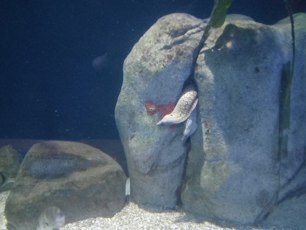 Так, а что у нас там с налогами🤔