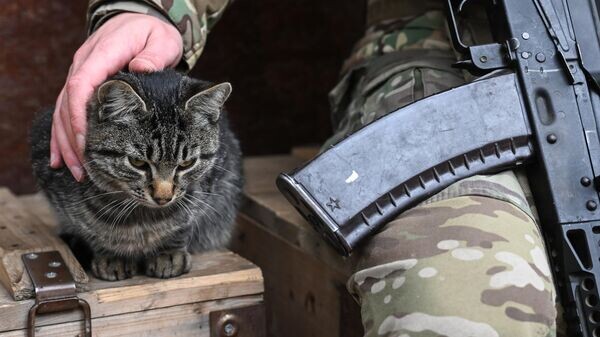    © Sputnik / Константин Михальчевский