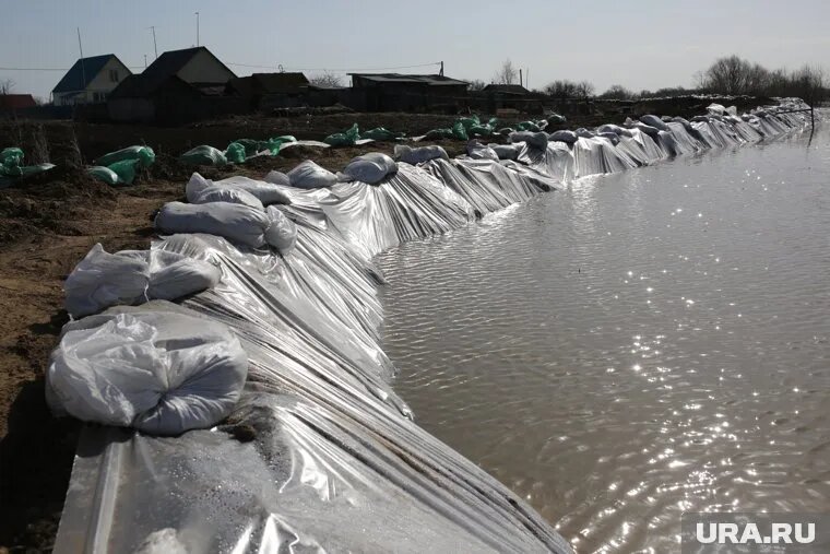 Властей через суд заставили ремонтировать дамбы в курганском селе. Фото: Денис Моргунов © URA.RU
