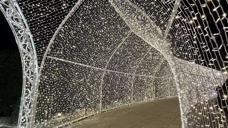     Источник: тг парк Краснодар