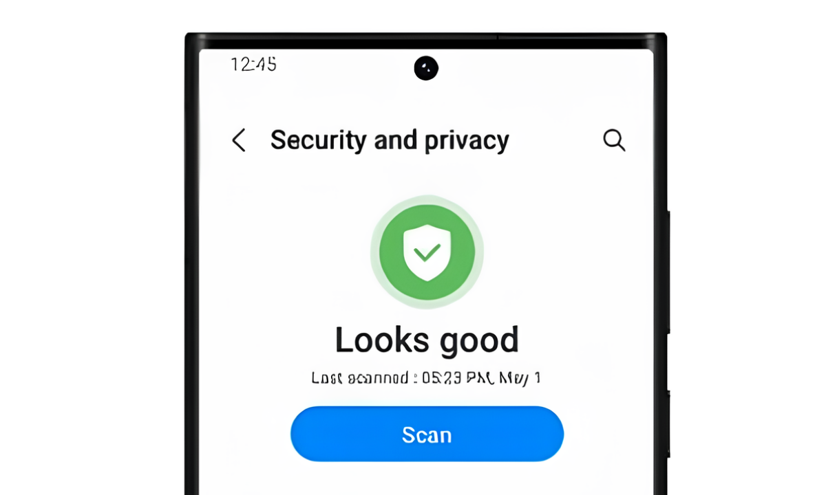    Изображение: открытые источники