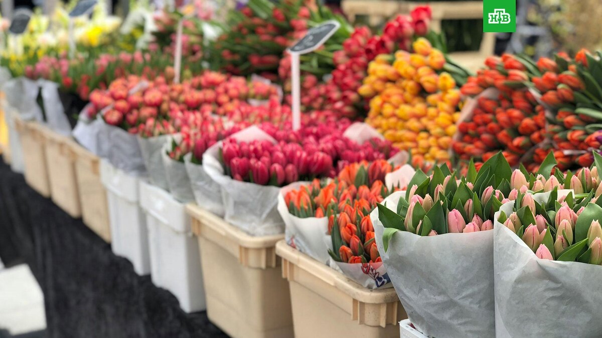    Фото: Daniel Spilka / unsplash.com