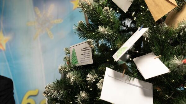    © Sputnik / Михаил Авагимов