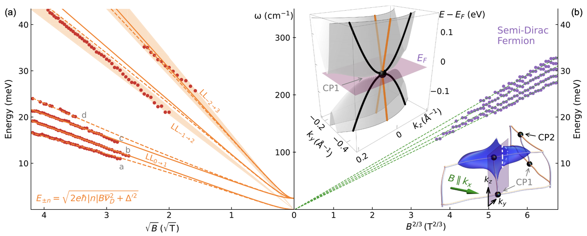   Yinming Shao et al. / Physical Review X, 2024