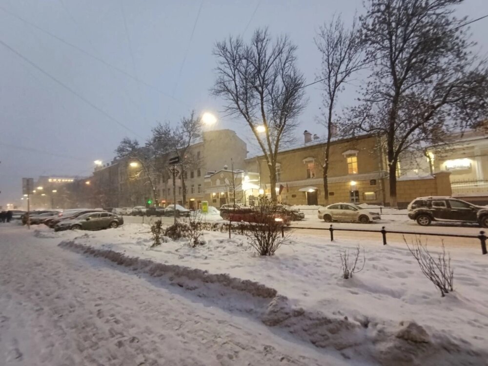    Фото:  АиФ/ Татьяна Швецова