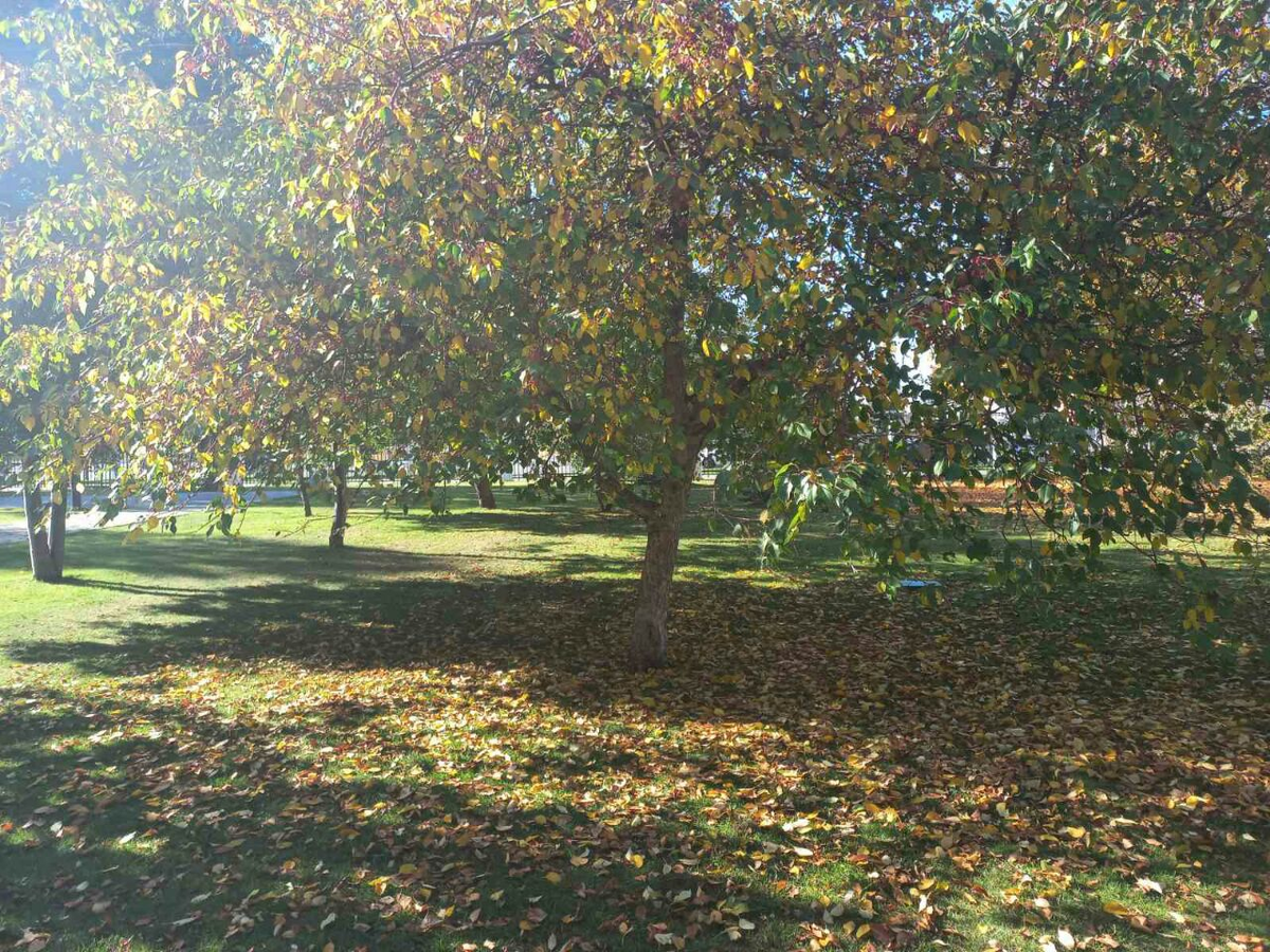 Фото автора.