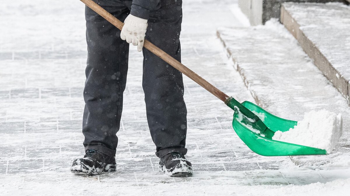    Фото: Ilya Moskovets/URA.RU/globallookpress.com