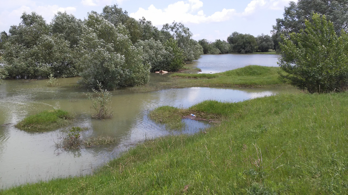 А ще вот это: весной на Кубани затапливает берег! Спускают водохранилище. фото автора