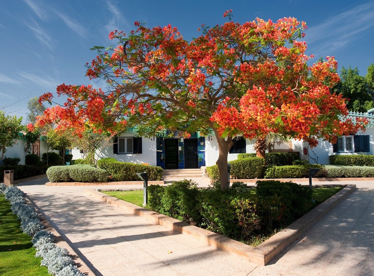 Добро пожаловать в отель