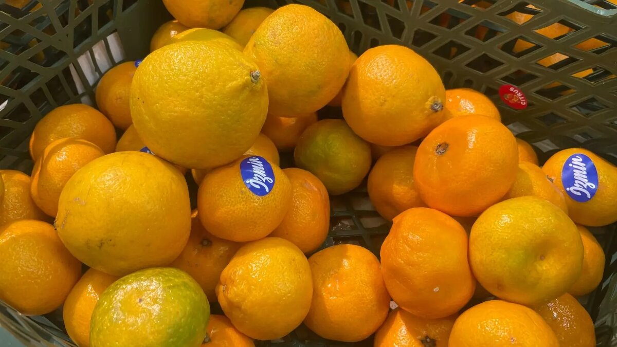     Источник: novostivolgograda.ru