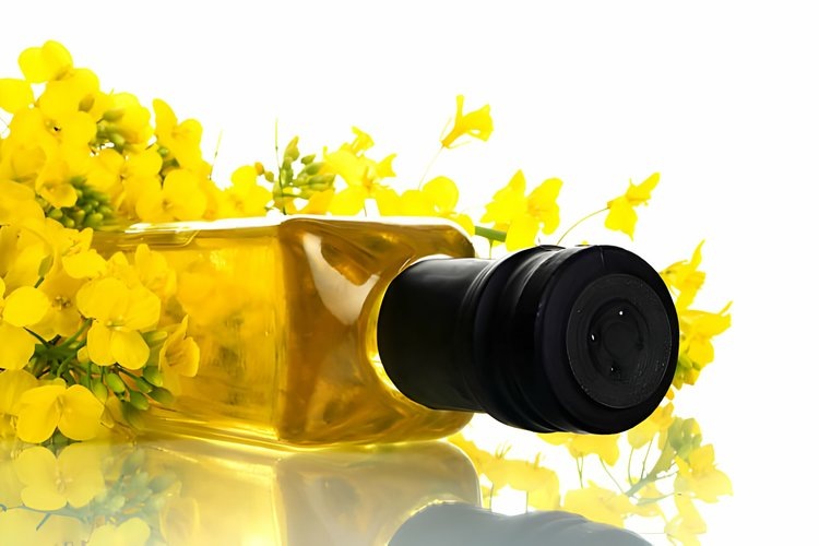    Тюменское рапсовое масло прошел проверку для экспорта в Китай