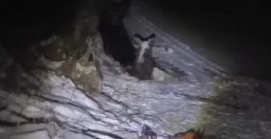    Фото: скриншот видео МЧС Вологодской области