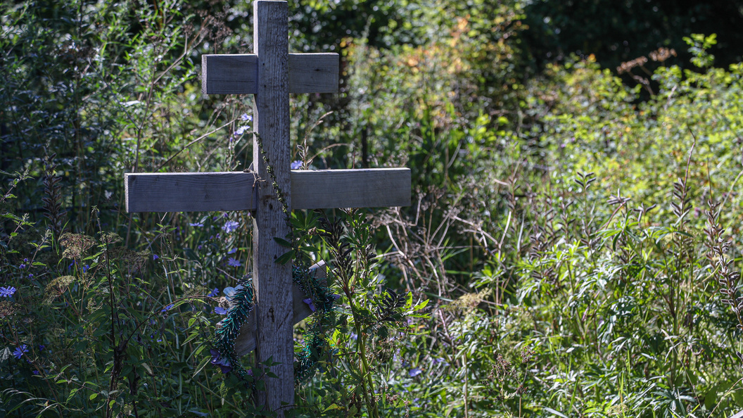    Фото: Bulkin Sergey/news.ru/Globallookpress