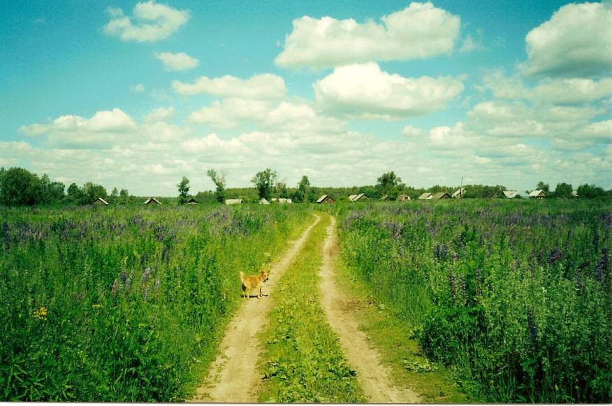 яндекс картинки