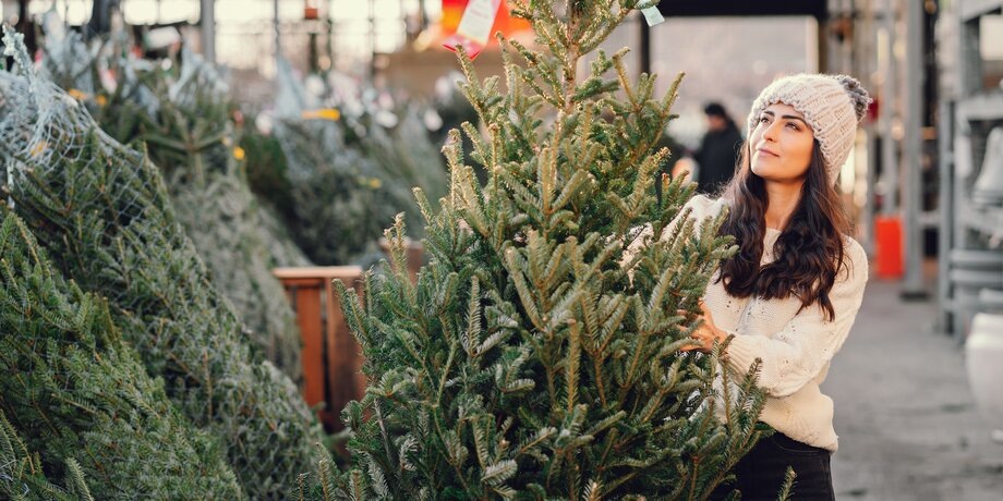 Фото: 123RF/prostooleh