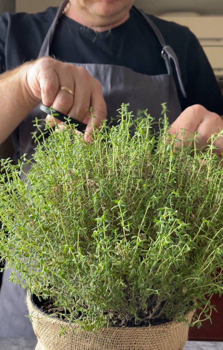 тимьян на Другой Кухне