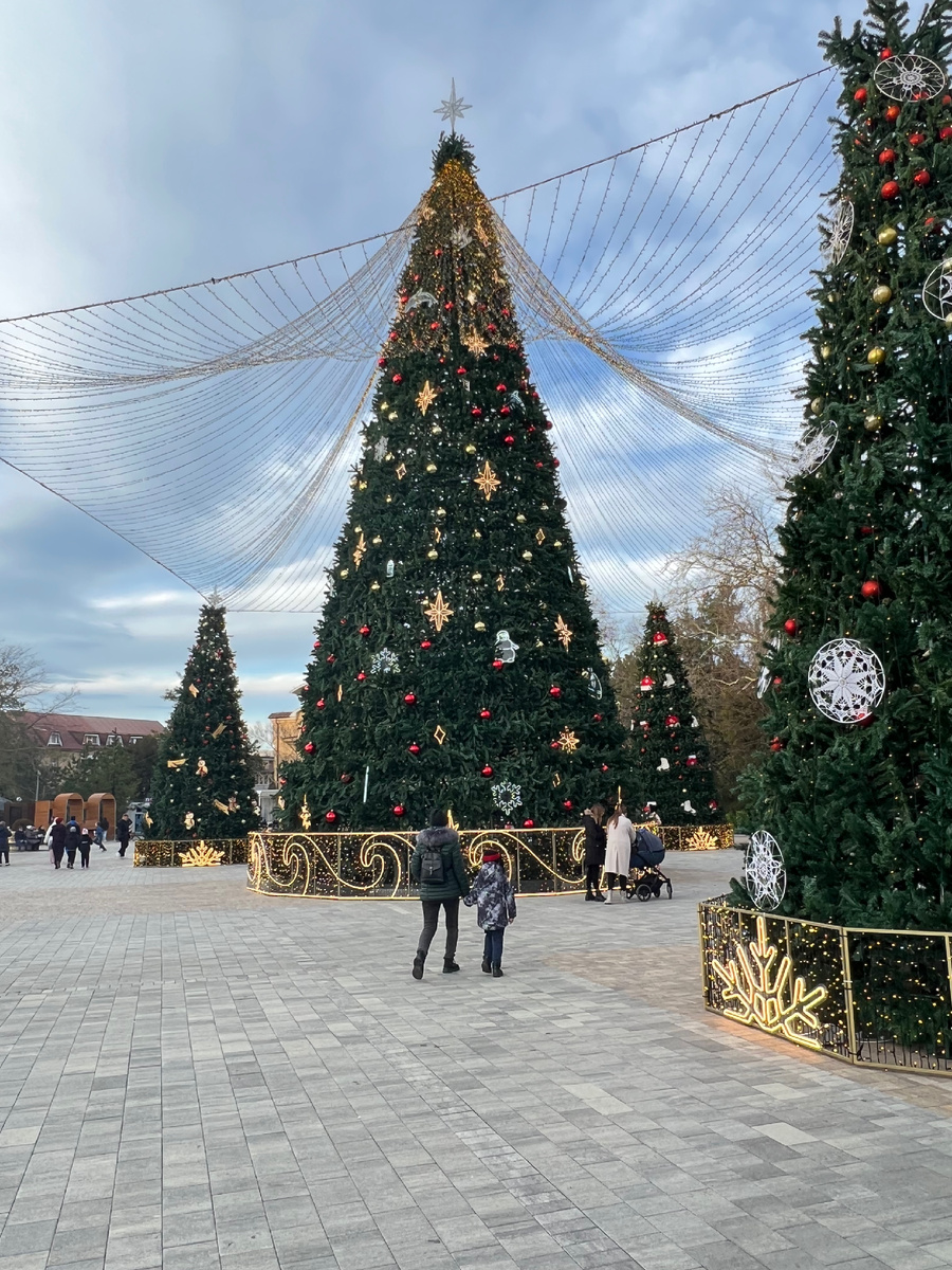 Центральная елка в Анапе