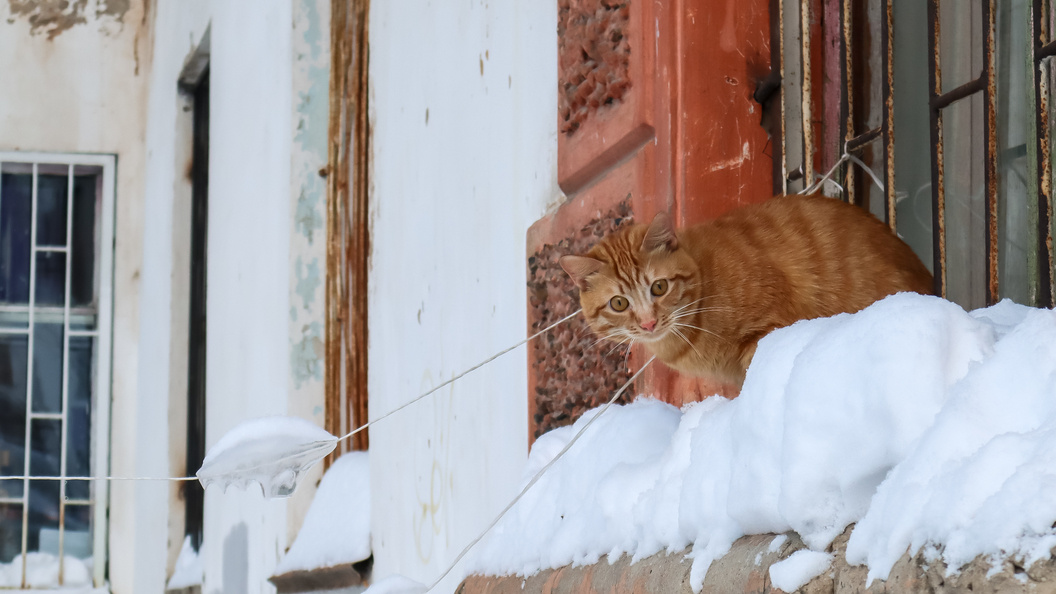    Elena Mayorova/Global Look Press