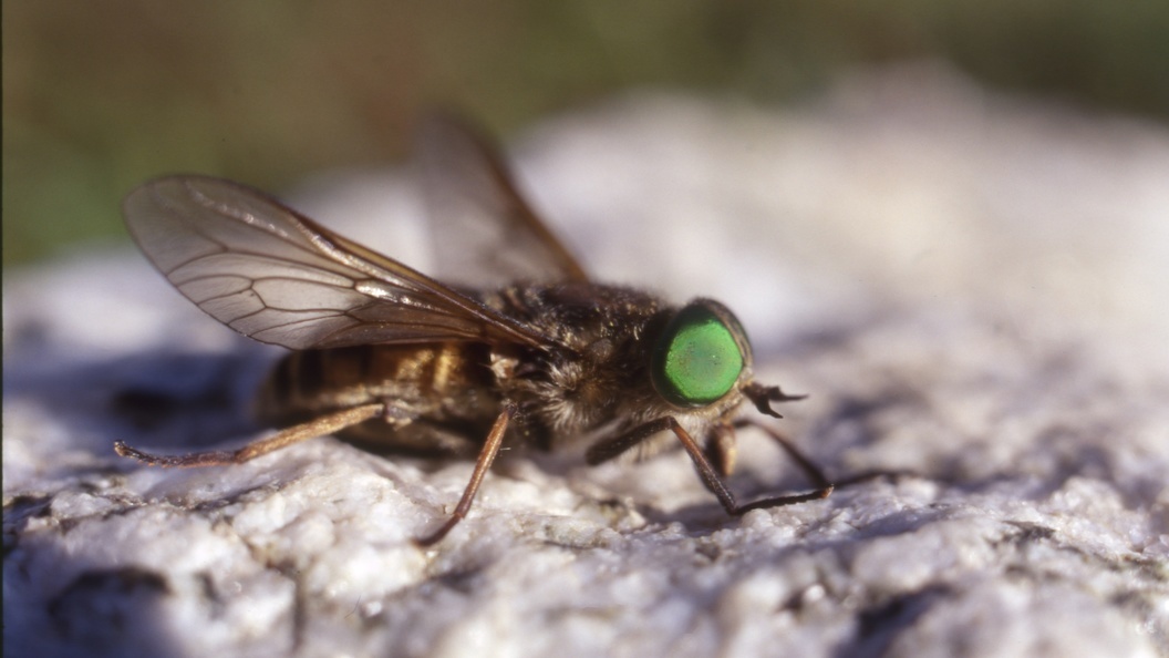    Andrei Kamenev/Russian Look/Globallookpress