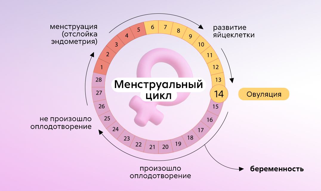 Гадание по менструационному циклу. Гадание по менструационному циклу