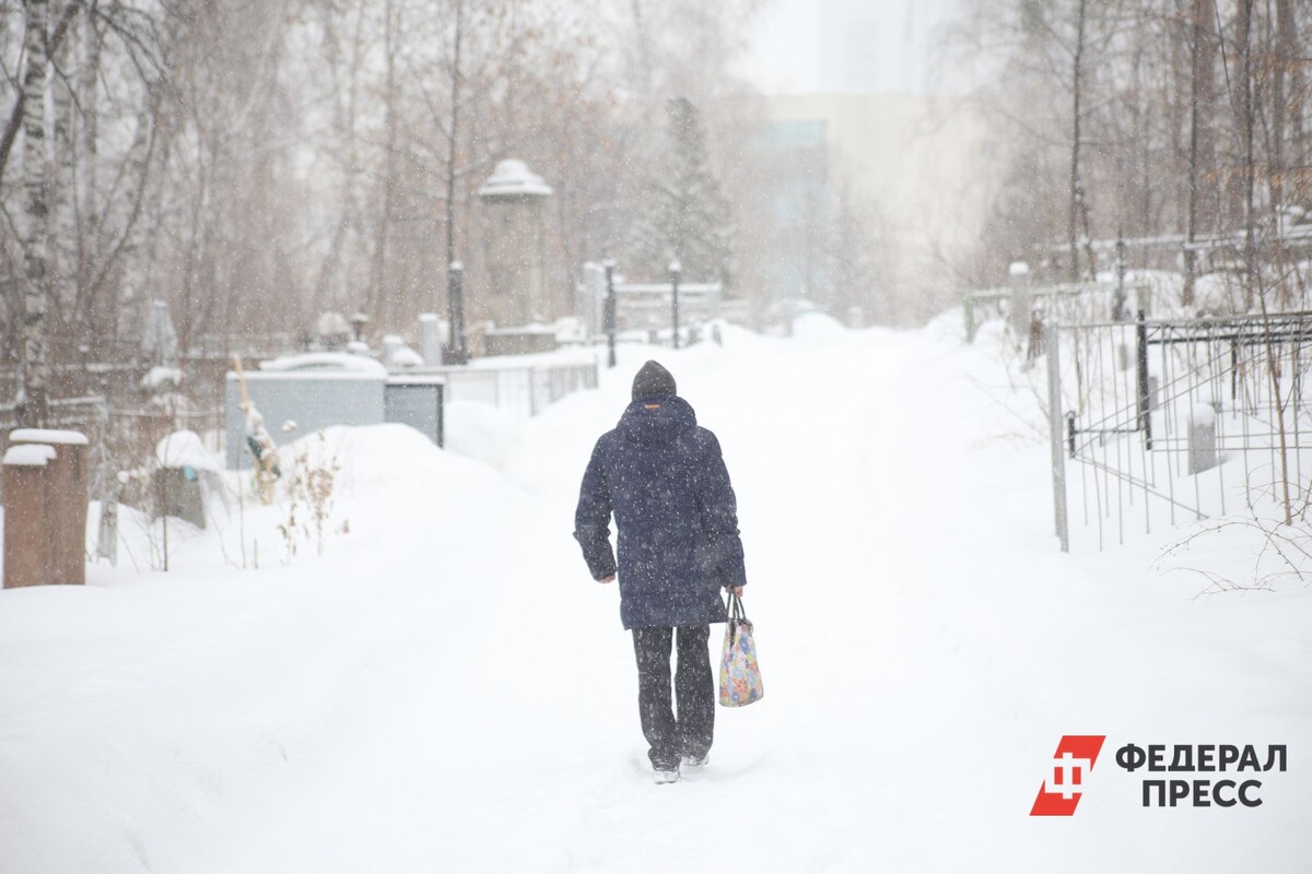 Суммы ущерба варьировались от нескольких десятков до нескольких сотен тысяч рублей.  Фото: Фото: ФедералПресс / Ольга Юшкова