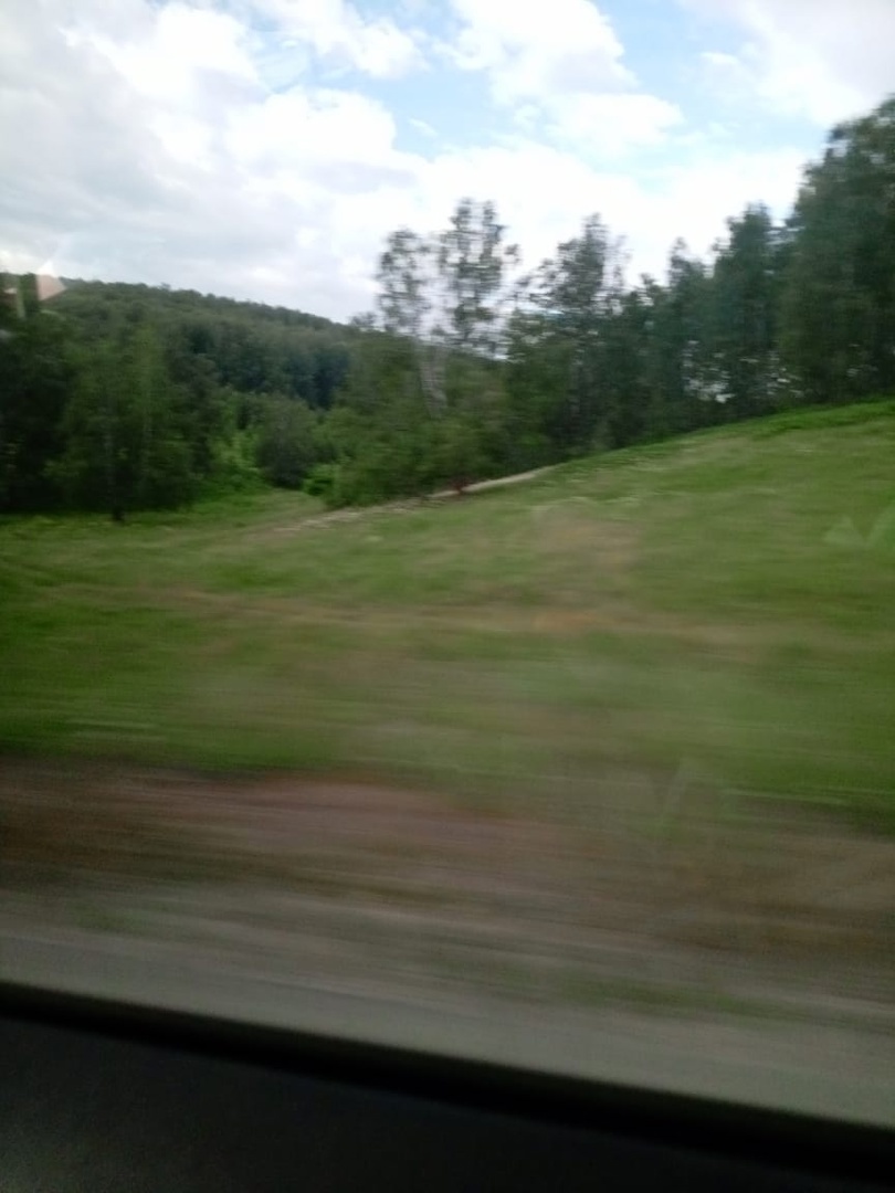 Пейзаж летит за окном