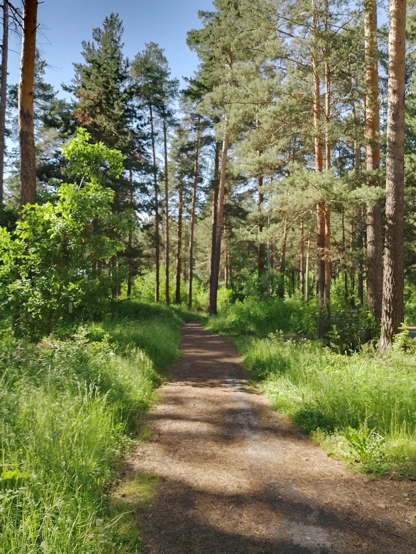Там за поворотом новый поворот