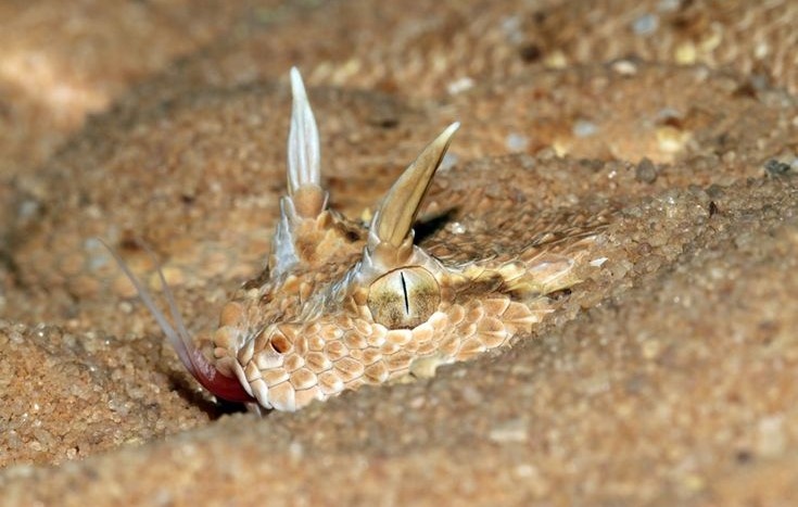 Режим невидимости активирован