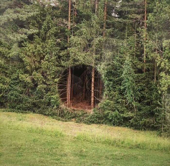 Источник: boredpanda.com