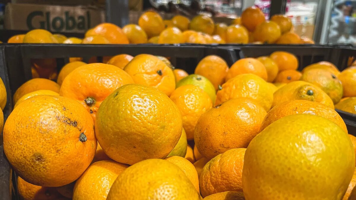     Источник: novostivolgograda.ru