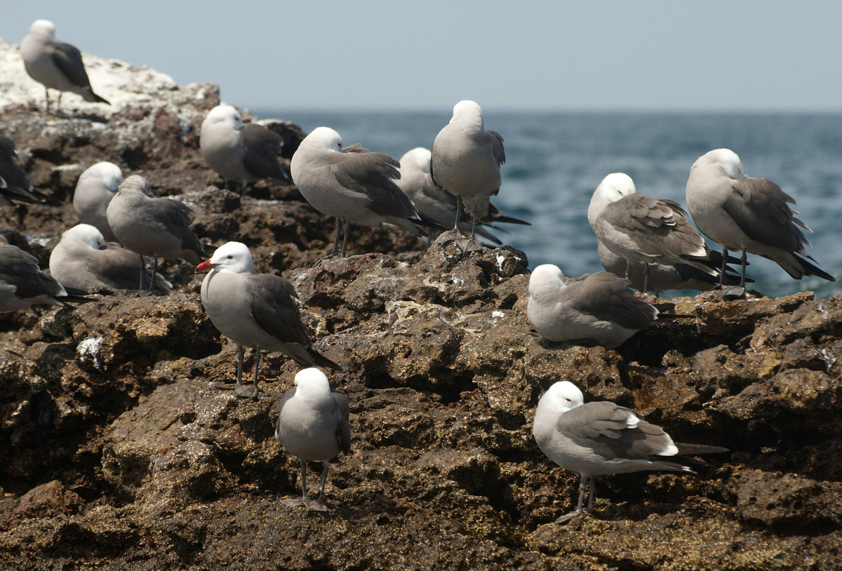 Картинка с бесплатного фотостока https://unsplash.com, автор stephan hinni
