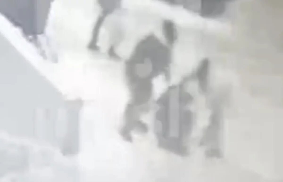    Mash: банда пацанок избила девушку и её 10-летнего брата в Подмосковье