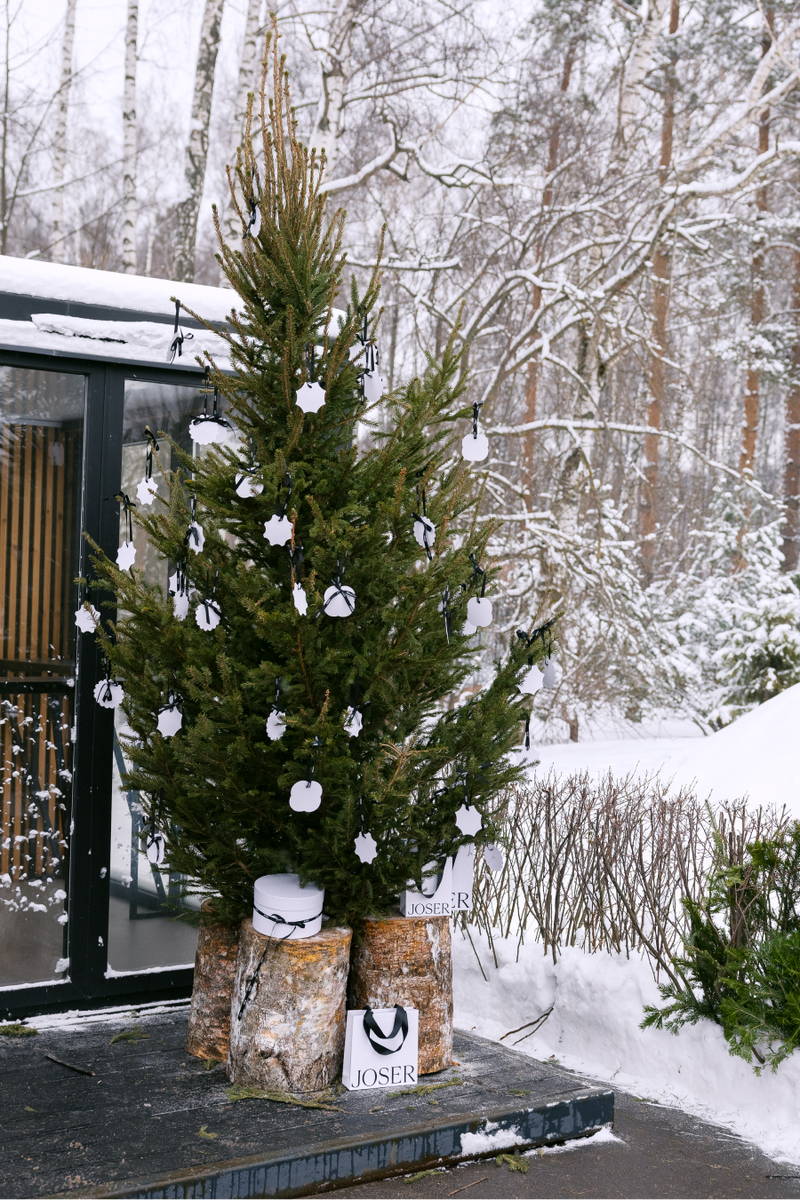    A–House выпустил спортивную газету A–Sport (фото 3)