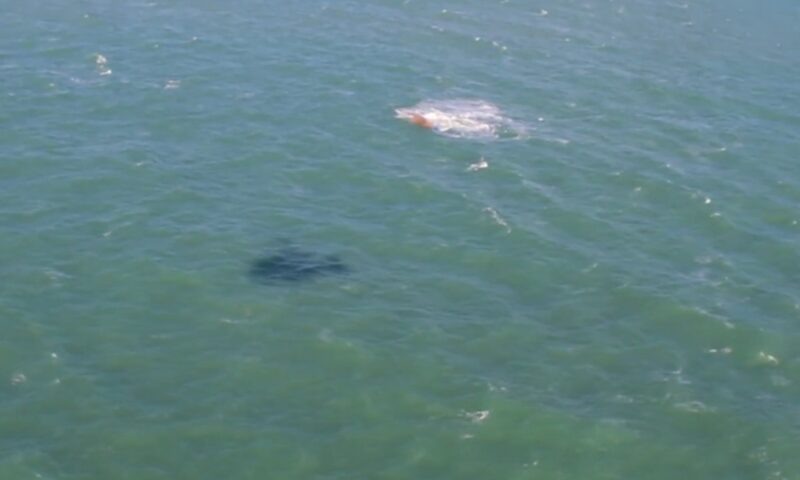    Фото t.me/prirodovedenie_rus