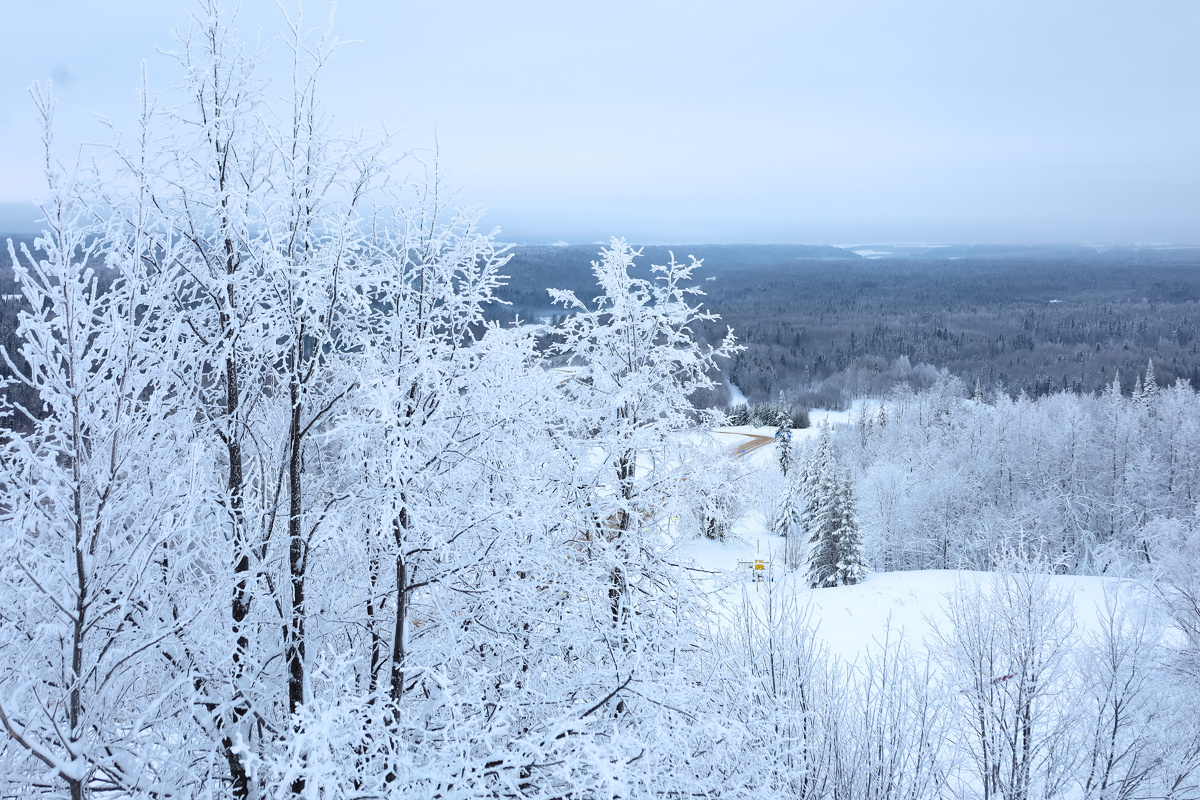 Elena Mayorova/Global Look Press