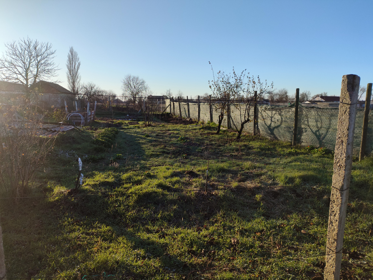 И как же мне нравится новый простор, без кустов смородины!