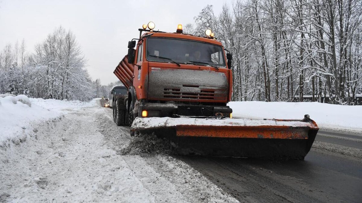    Фото: t.me/prok_lenobl