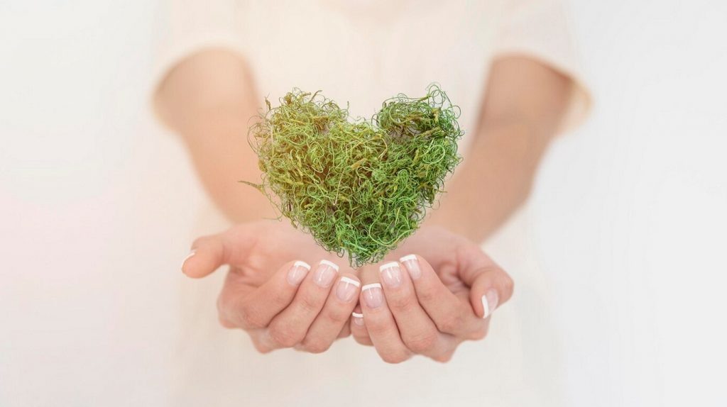     Новый Я в Новом году. Курсы и книги для тех, кто хочет заняться здоровьем Антон Бахарев