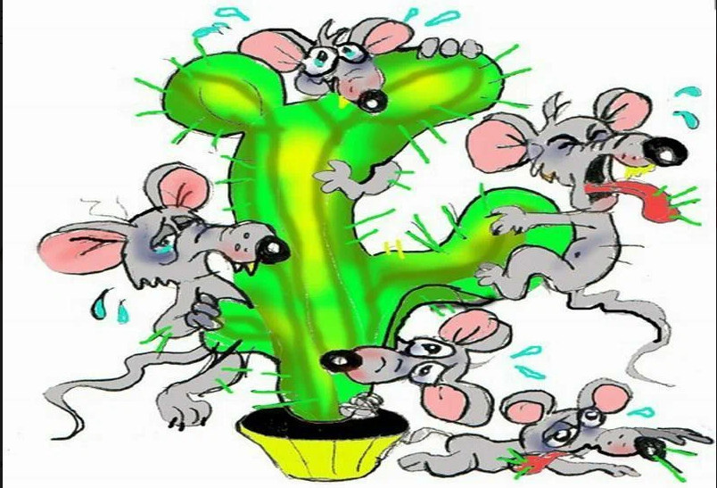 Все фото из интернета