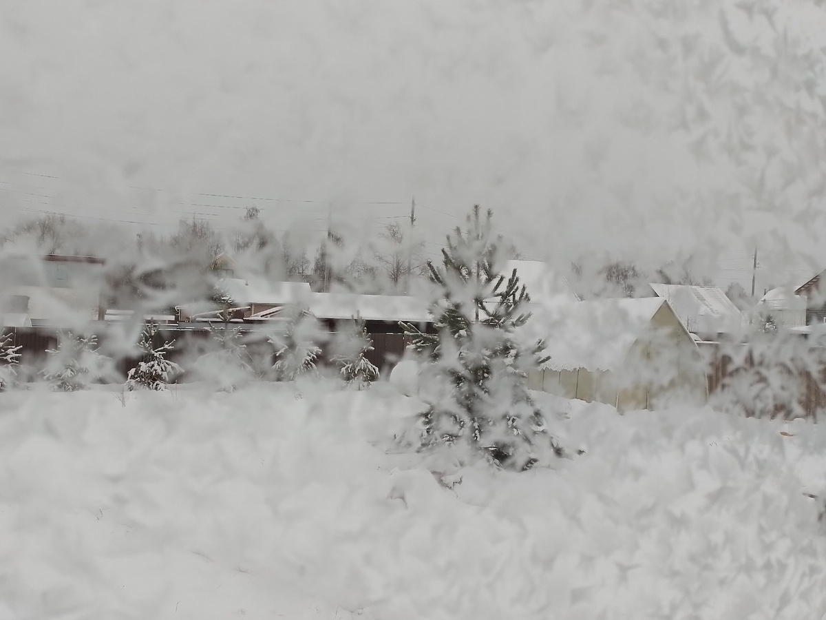 Окно на веранде