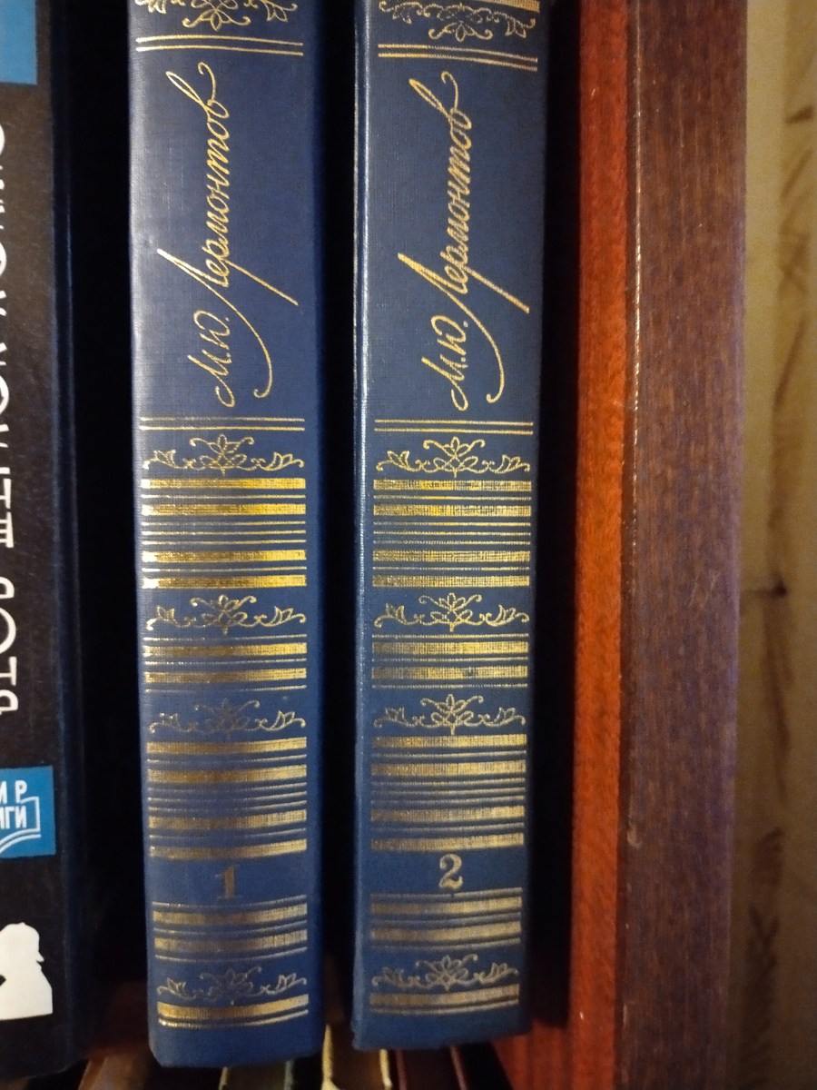 Здесь 22 фотографии - на них только малая часть богатств прежних лет. Мама отмечалась в очередях на подписные издания иногда ночами. Грелись у костра. Выкупали тома торжествнно, в магазине на Ленинградской - улице в центре города, куда ехать автобусом от нашего дома примено час... Эх...