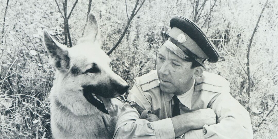 Как снимали "Ко мне, Мухтар!": об удивительной собаке, сыгравшей в фильме