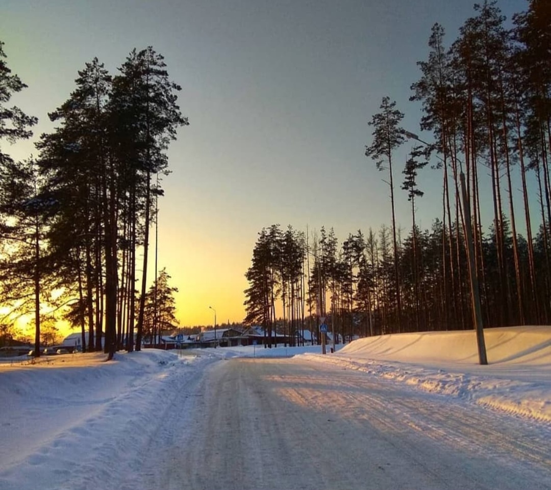 фото Олеси Бронзовой