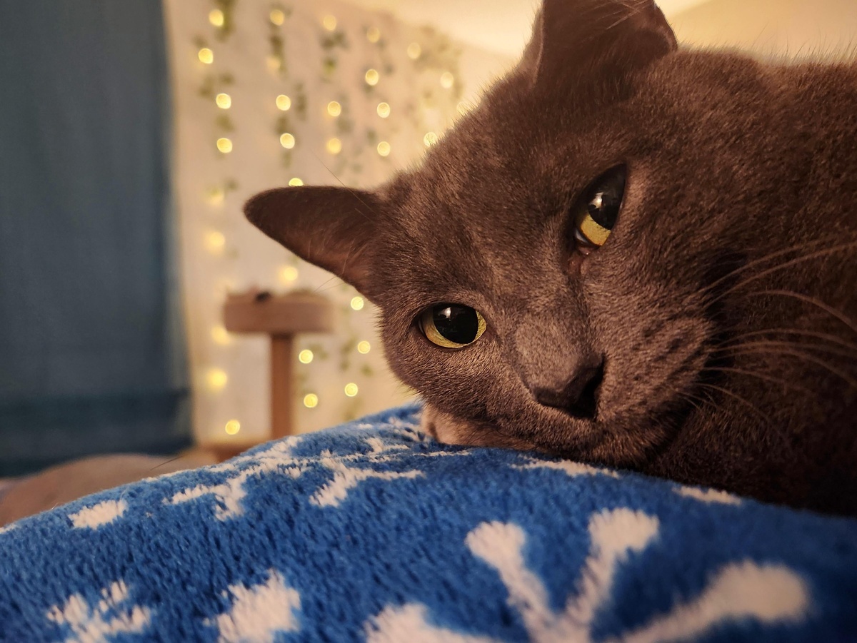 Источник: redd.it