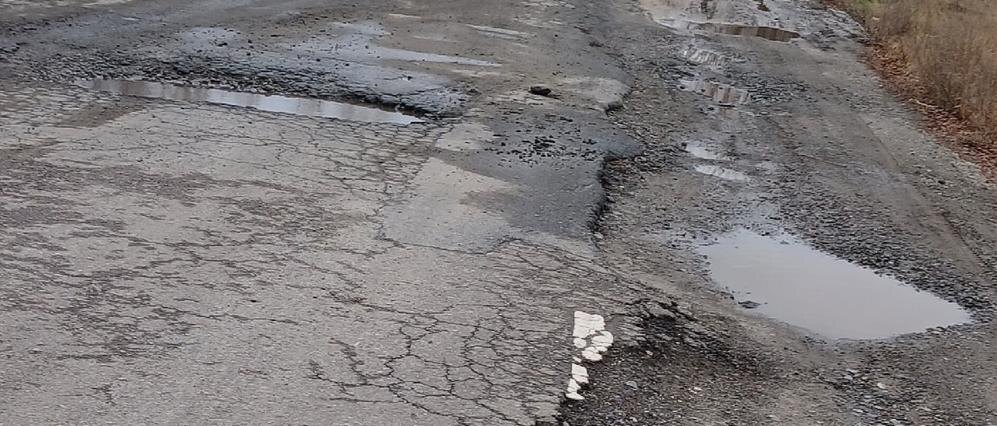    Фото: Сергей Прытков