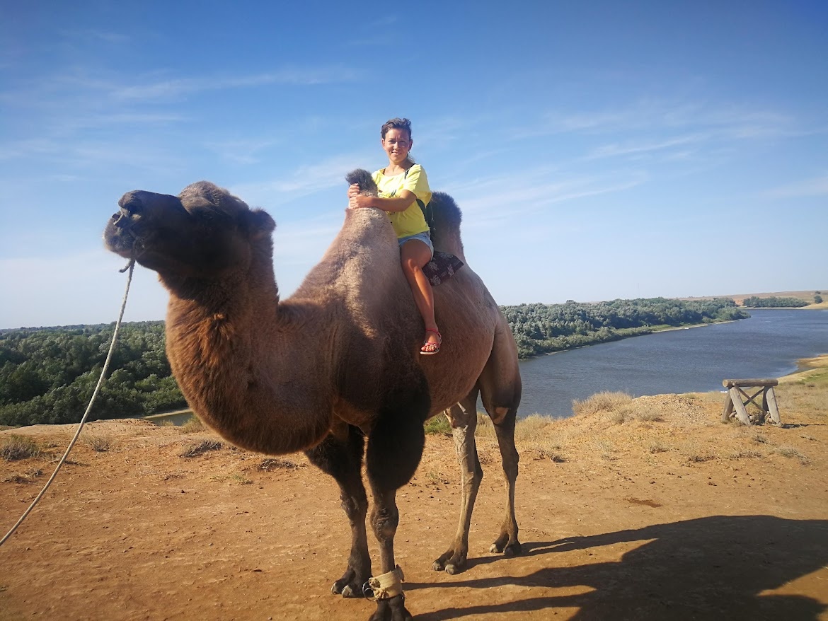 Наверное, кочевники представляются таким людям исключительно вот так, но никак не с ноутбуком в руках