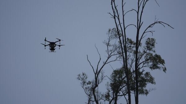    © AP / Silvia Izquierdo