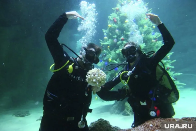 В Москве молодожены обвенчались на глубине пяти метров
Фото: Илья Питалев/РИА Новости