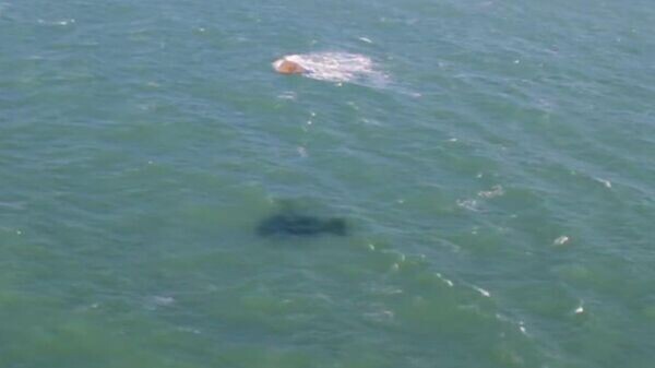    © Министерство природных ресурсов и экологии России